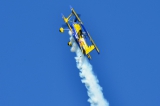 Pitts 12S